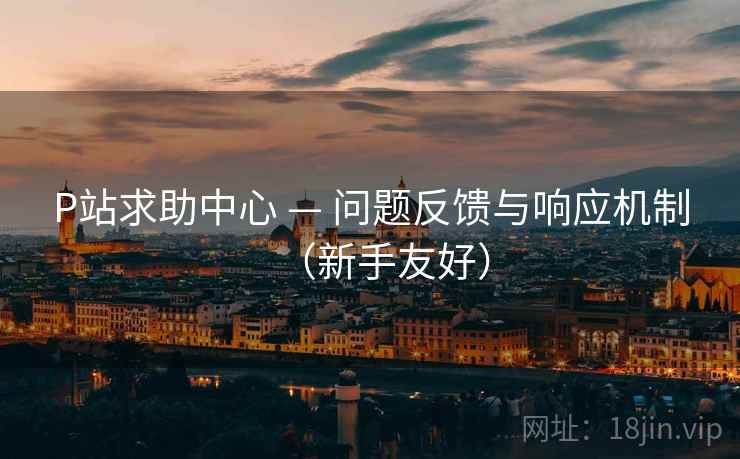 P站求助中心 — 问题反馈与响应机制(新手友好)  第2张 P站求助中心 — 问题反馈与响应机制(新手友好)  第2张