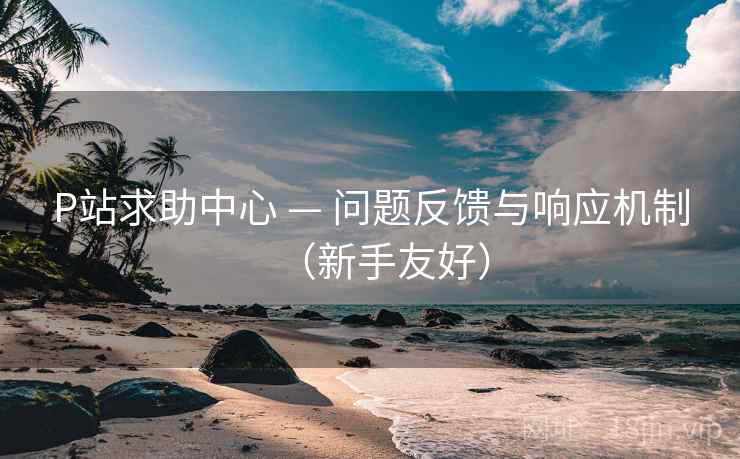 P站求助中心 — 问题反馈与响应机制（新手友好）