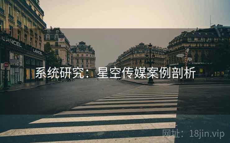 系统研究：星空传媒案例剖析