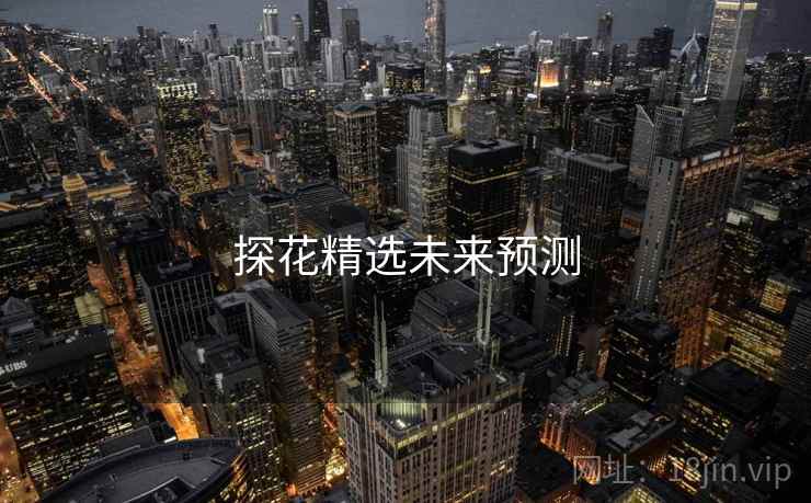 探花精选未来预测