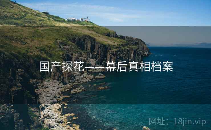 国产探花——幕后真相档案