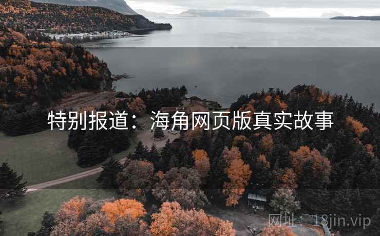 特别报道:海角网页版真实故事