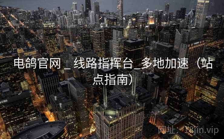电鸽官网 _ 线路指挥台_多地加速(站点指南)