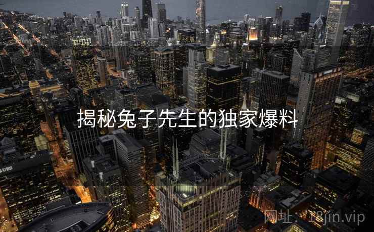揭秘兔子先生的独家爆料
