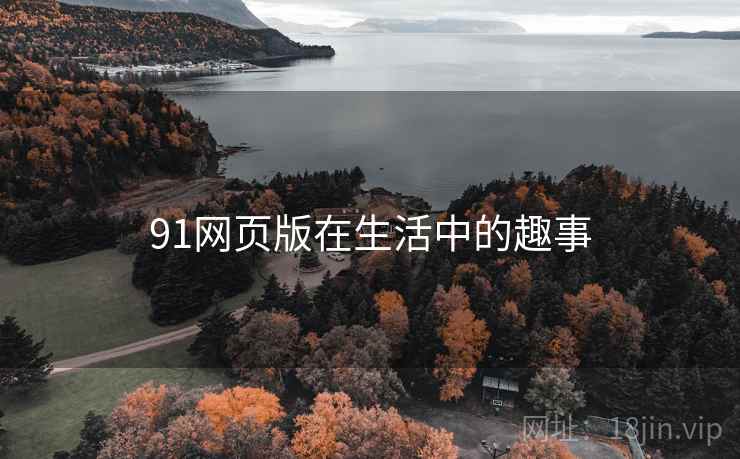 91网页版在生活中的趣事