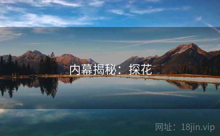 内幕揭秘:探花