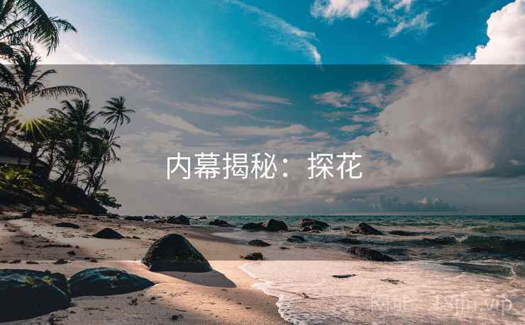 内幕揭秘:探花