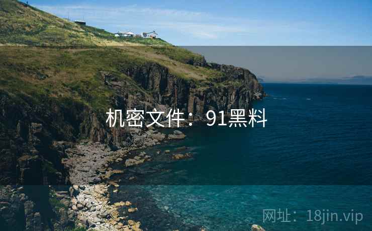 机密文件:91黑料