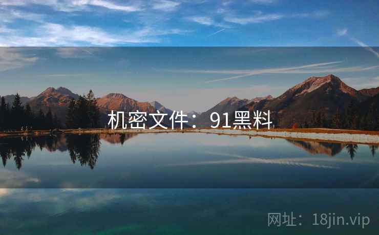 机密文件:91黑料