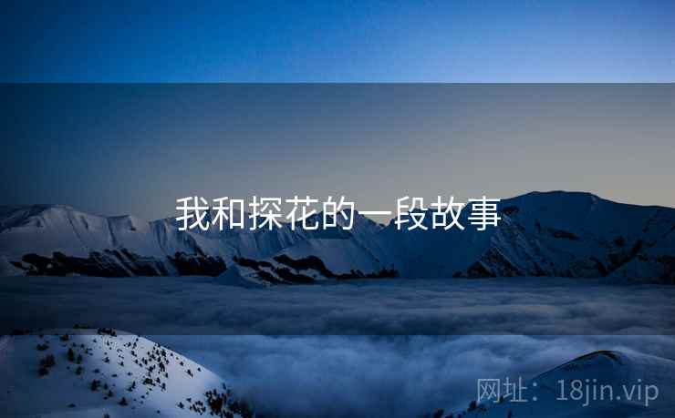 我和探花的一段故事