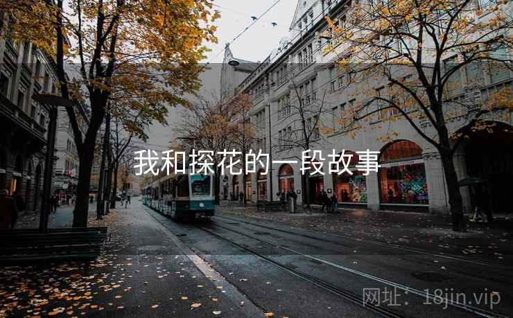 我和探花的一段故事