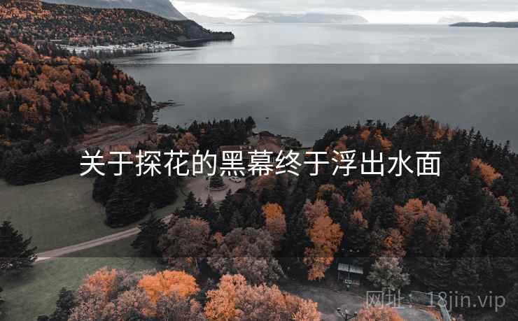 关于探花的黑幕终于浮出水面