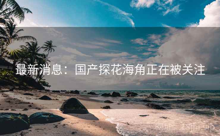 最新消息:国产探花海角正在被关注