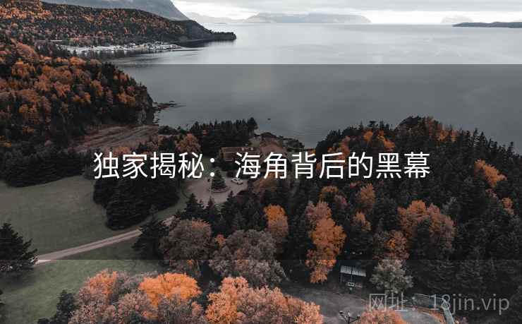 独家揭秘:海角背后的黑幕