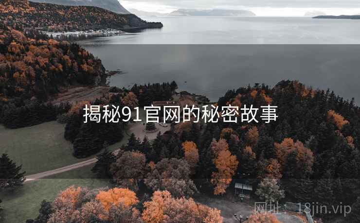 揭秘91官网的秘密故事