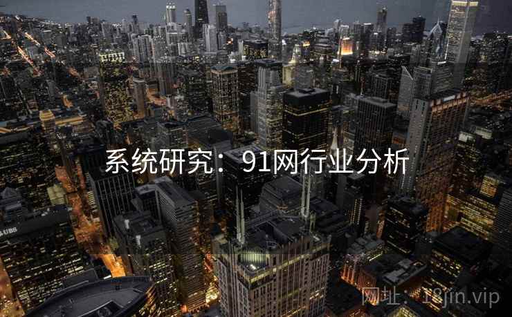 系统研究:91网行业分析