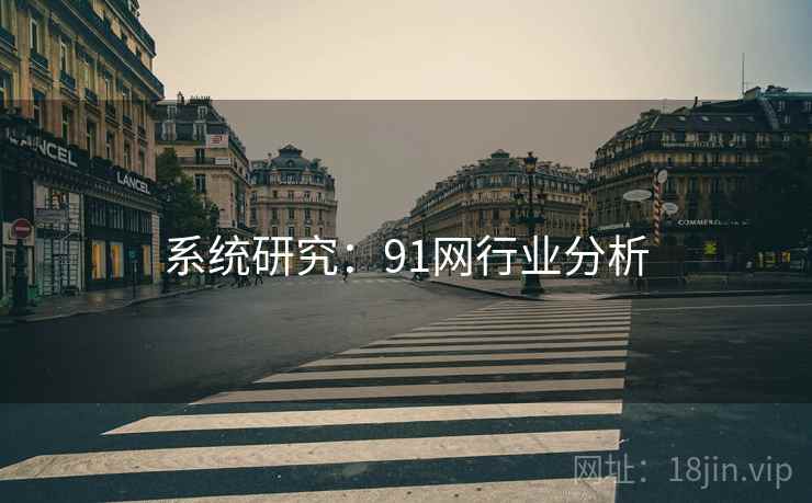 系统研究:91网行业分析